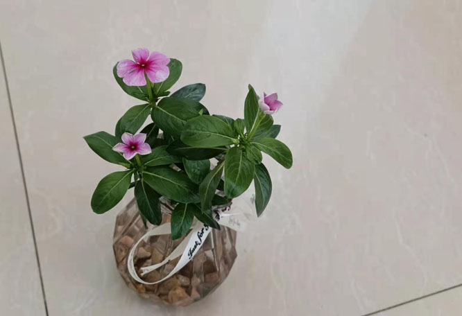 һ���������