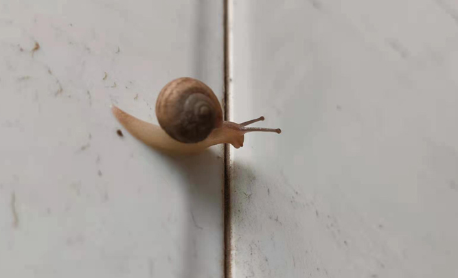 һ���������
